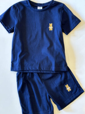Boy Blue Teddy Set